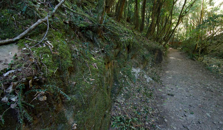 Hidden Treasure track - Accommodation Mt Buller