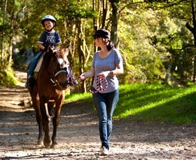 Glenworth Valley Horse Riding - thumb 3