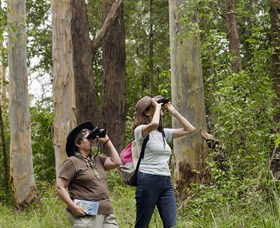 Chichester State Forest - Find Attractions