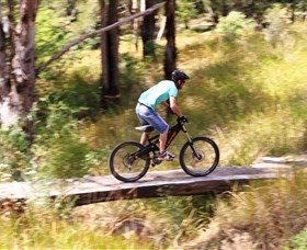 The Steps Mountain Bike Park - Accommodation Mount Tamborine