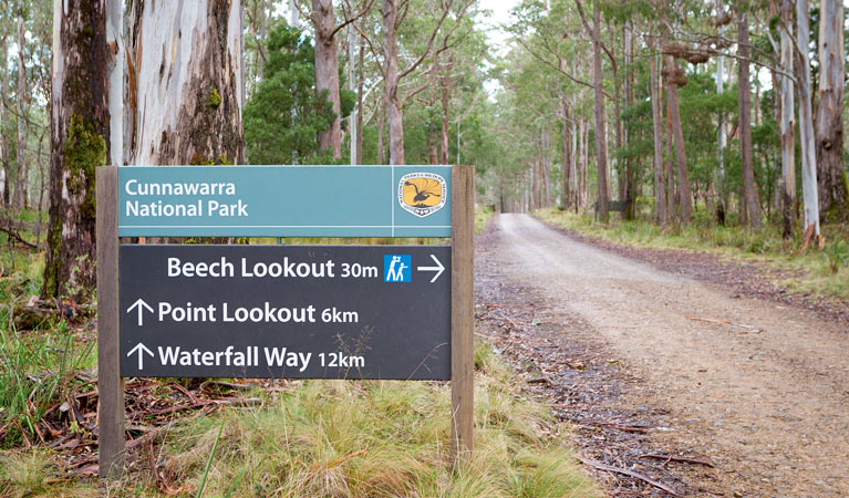 Beech lookout - Attractions Melbourne