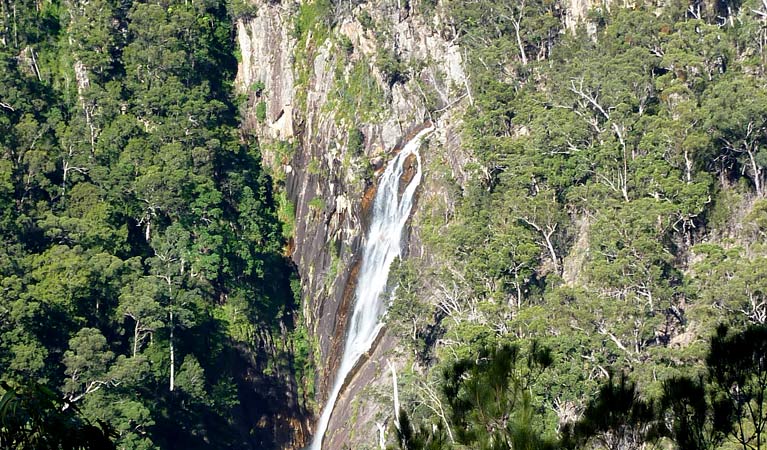 Carrai National Park - New South Wales Tourism 