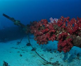 Severance Shipwreck Dive Site - thumb 2