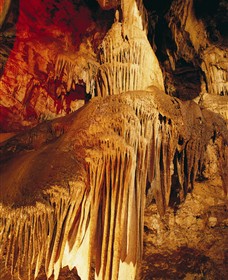 Buchan Caves Reserve - thumb 0