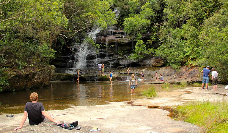 Somersby Falls picnic area - Attractions Melbourne