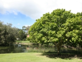 Hervey Bay Botanic Gardens - Accommodation Nelson Bay