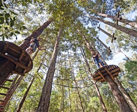 TreeTop Adventure Park Central Coast - Find Attractions