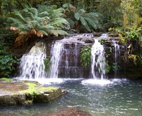 Barrington Tops National Park Walks - Accommodation Sunshine Coast