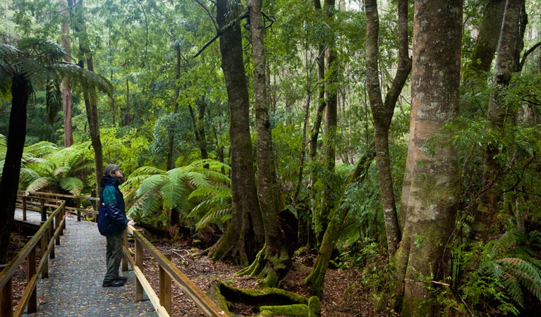 Monga National Park - Attractions Sydney