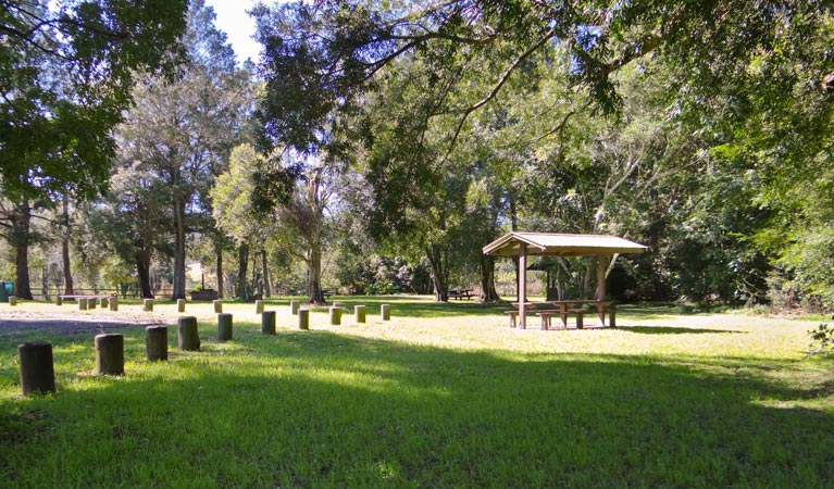 Moore Park picnic area - Northern Rivers Accommodation