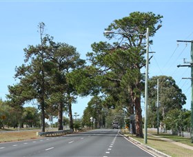 Anzac Memorial Avenue, Redcliffe - thumb 2