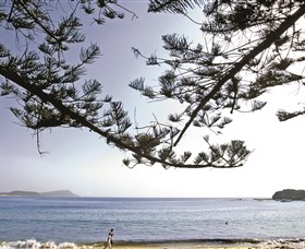 Terrigal Beach - New South Wales Tourism 