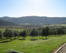 Hastings Valley Olives - WA Accommodation