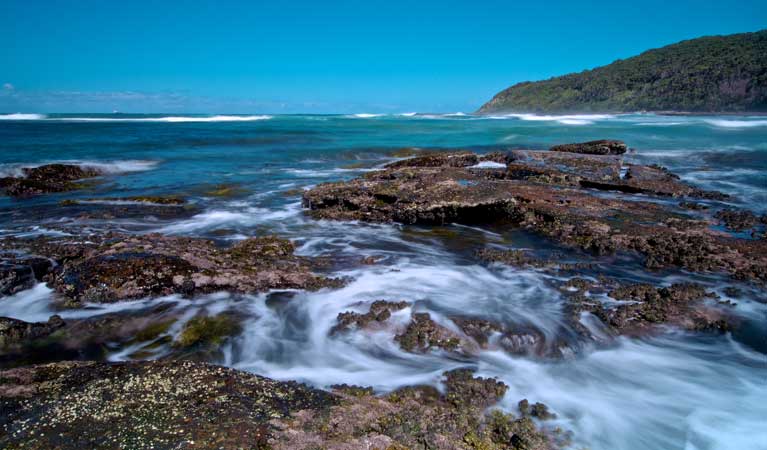 Wyrrabalong National Park - Attractions