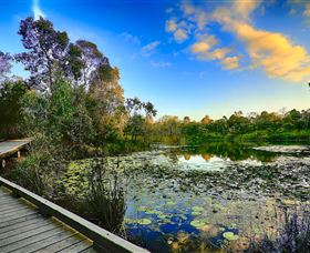 Berrinba Wetlands - Attractions Melbourne