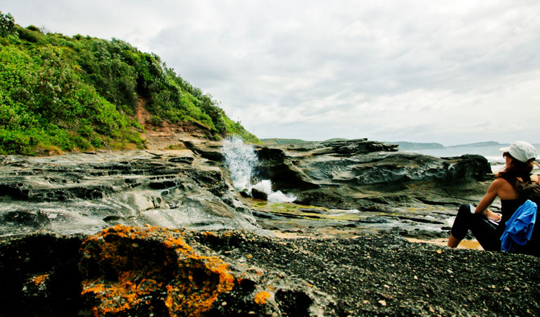Glenrock State Conservation Area - Redcliffe Tourism