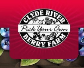 Clyde River Berry Farm - Find Attractions