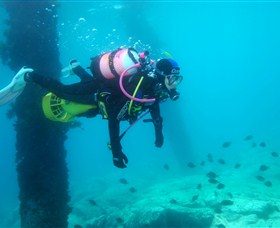Shellharbour Scuba  Photography Centre - Find Attractions