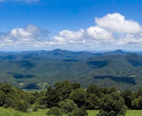 Griffith Lookout - Attractions