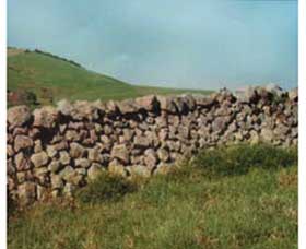 Historic Dry Stone Walls - Accommodation Nelson Bay