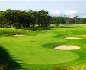 Shoalhaven Heads Golf Club - Accommodation Redcliffe