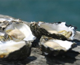 Jim Wilds Oyster Service - Attractions