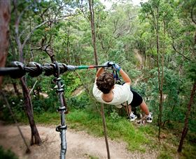 TreeTop Challenge - Attractions Melbourne