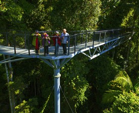 Tamborine Rainforest Skywalk - thumb 1