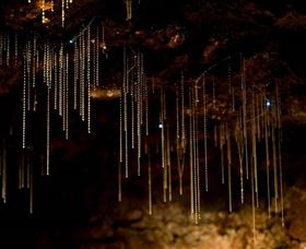 Tamborine Mountain Glow Worm Caves - Attractions Melbourne