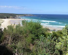 South Pacific Heathland Reserve - Accommodation Nelson Bay