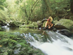 Lower Ballanjui Falls - Find Attractions