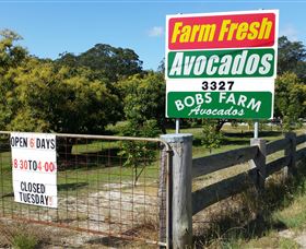 The Avocado Farm - thumb 3