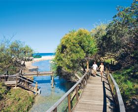 Eli Creek - Tourism Adelaide