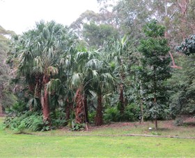 Booderee National Park Botanic Gardens - thumb 4
