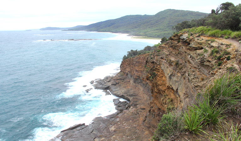 Pretty Beach To Snapper Point Walking Track - thumb 1