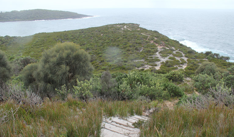 Pretty Beach To Snapper Point Walking Track - thumb 2
