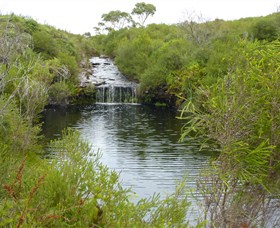 Booderee National Park Green Patch and Telegraph Creek Walking Tracks - Accommodation Sunshine Coast