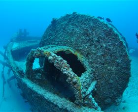Curtain Artificial Reef Dive Site - thumb 3
