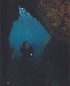 Tangalooma Wrecks Dive Site - thumb 3