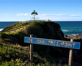 One Tree Point Lookout And Picnic Area - thumb 0