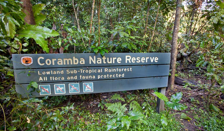 Coramba Nature Reserve - thumb 3