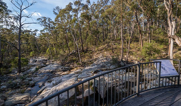 Myanba Gorge walking track - Attractions Melbourne