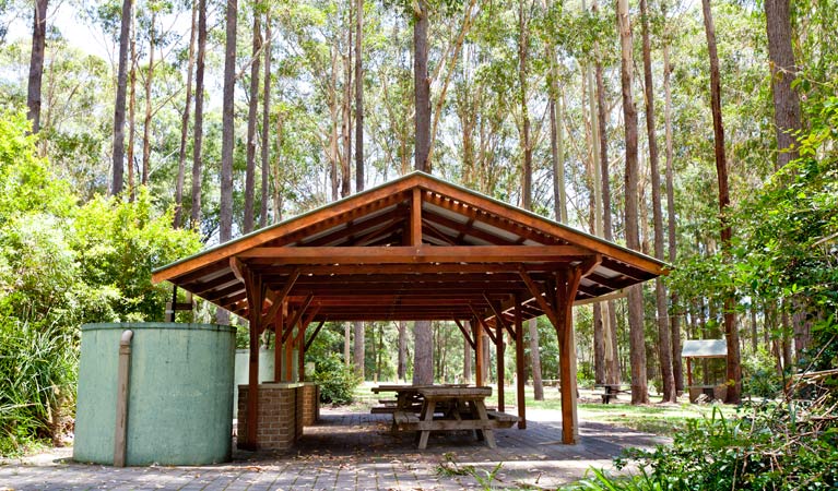 Bongil picnic area - Accommodation in Brisbane