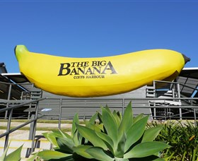 The Big Banana - Redcliffe Tourism