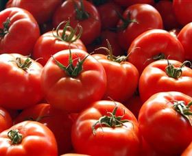 Ricardoes Tomatoes And Strawberries Farm - thumb 2