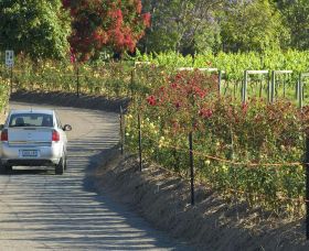 Cassegrain Wines - New South Wales Tourism 