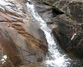 Mumbulla Creek Falls and Picnic Area - Accommodation Nelson Bay