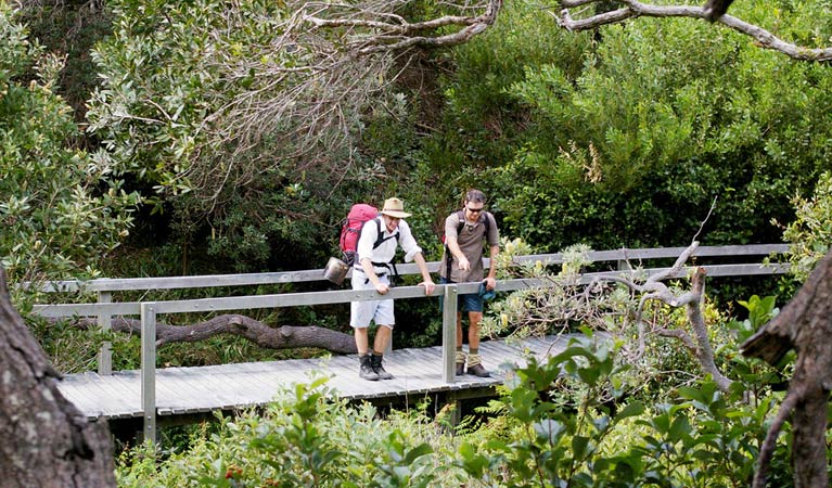 Wilsons Headland walking track - Find Attractions