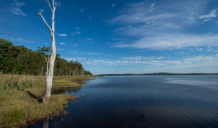 Lake Innes Nature Reserve - Accommodation in Bendigo