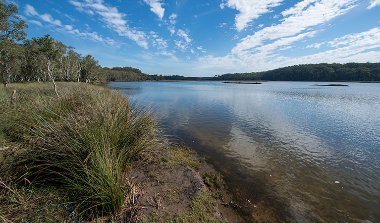 Lake Innes Nature Reserve - thumb 1